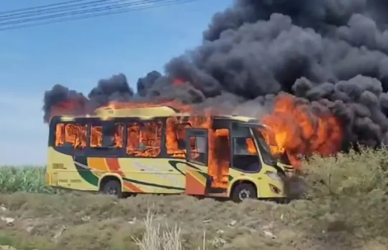 bus dorado quemado