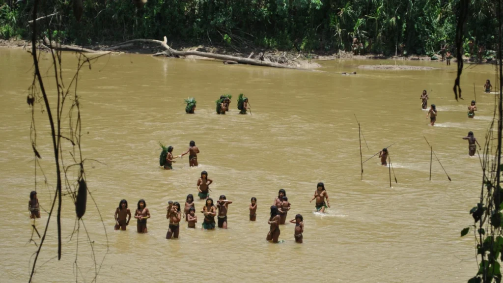 reservas indígenas frenan la deforestación en la amazonía, pero enfrentan graves amenazas