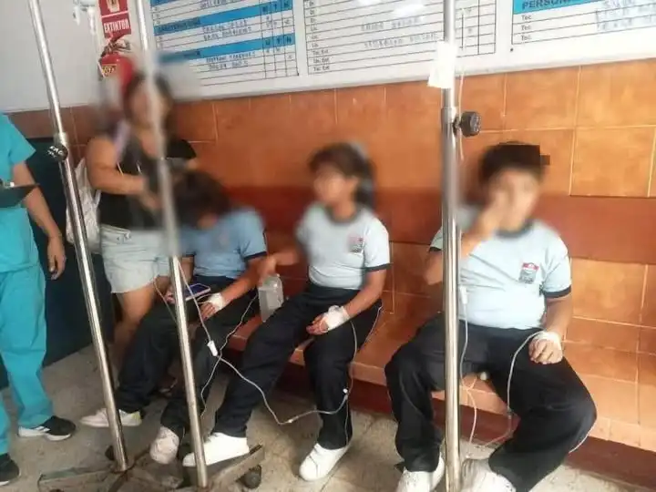 escolares intoxicados