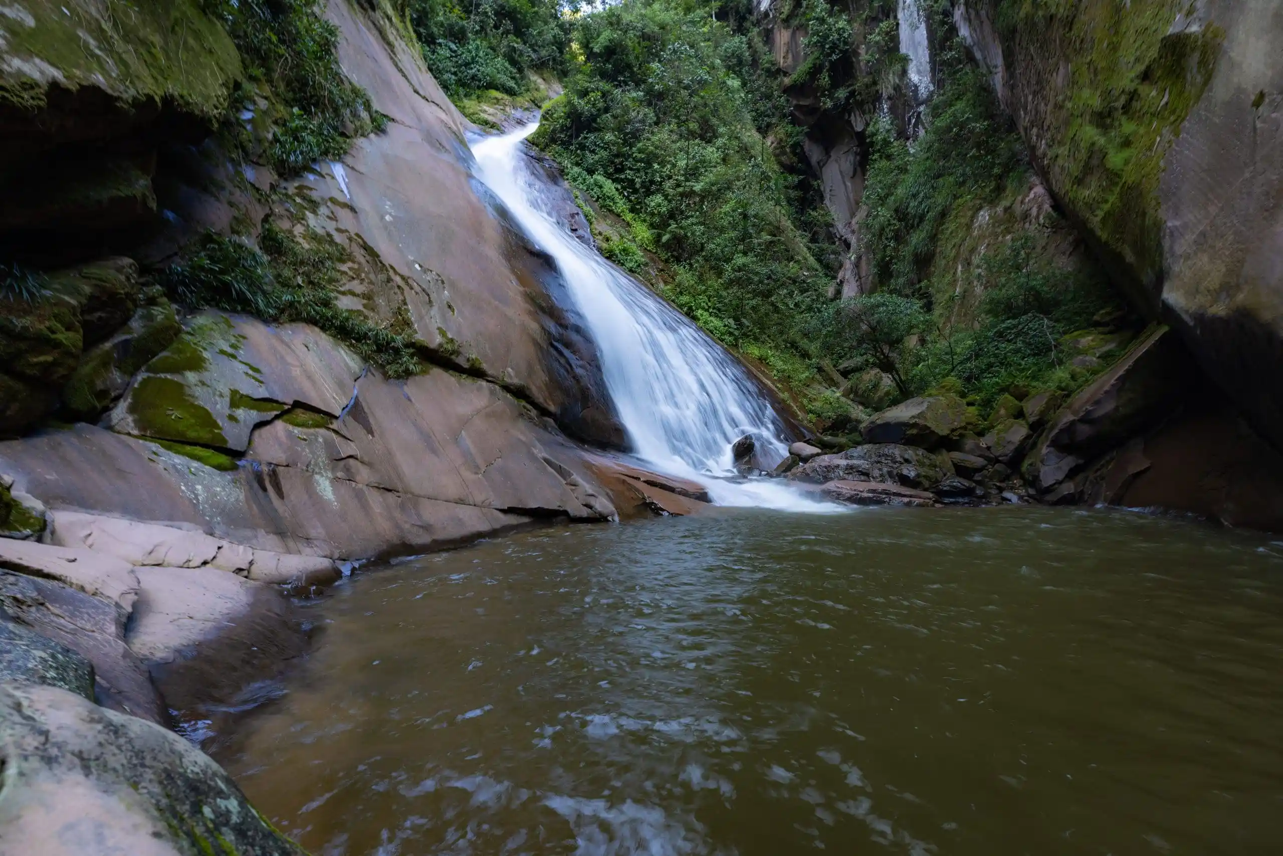 serfor deroga norma clave que compromete la creación de más de 10 áreas protegidas