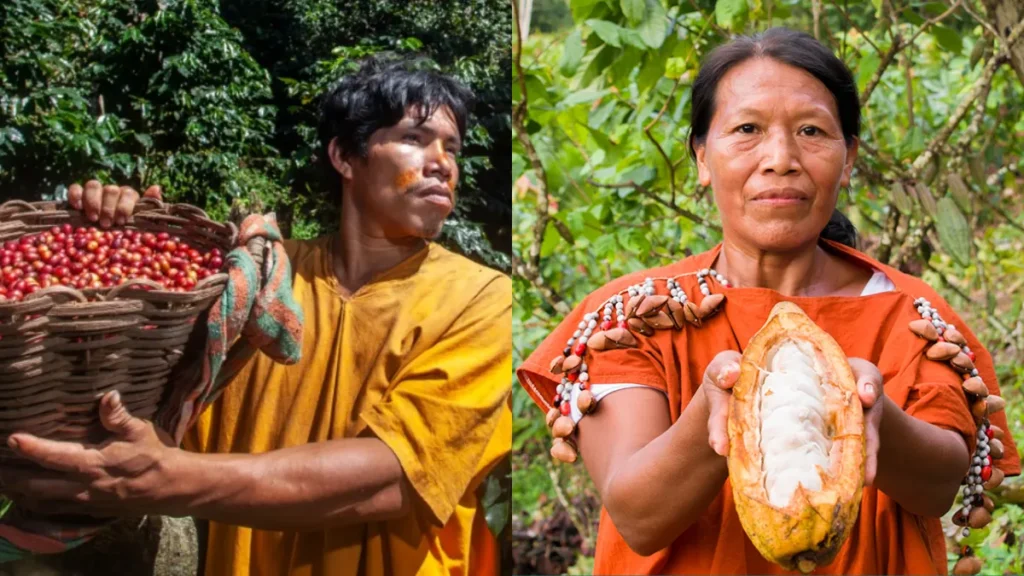 café y cacao: sector discutirá estrategias ante regulación europea y cambio climático
