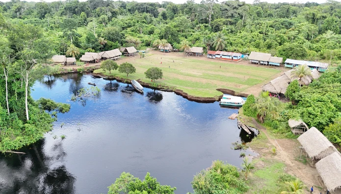 descubren nuevas especies de flora y fauna en los bosques inundables del abanico del pastaza