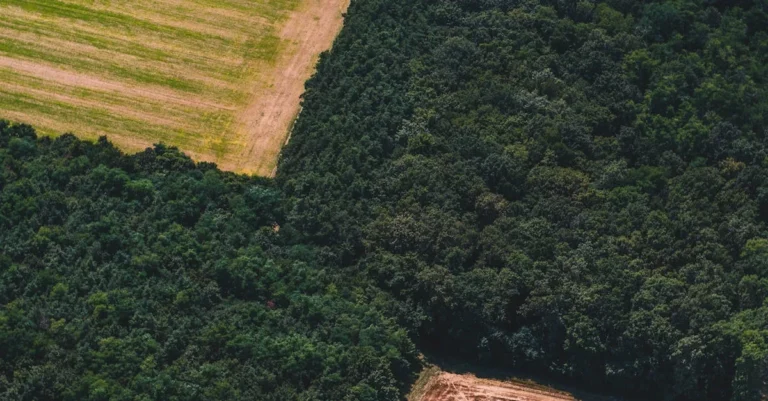 día de la diversidad biológica: desafíos para la amazonía y el impulso de la conservación local