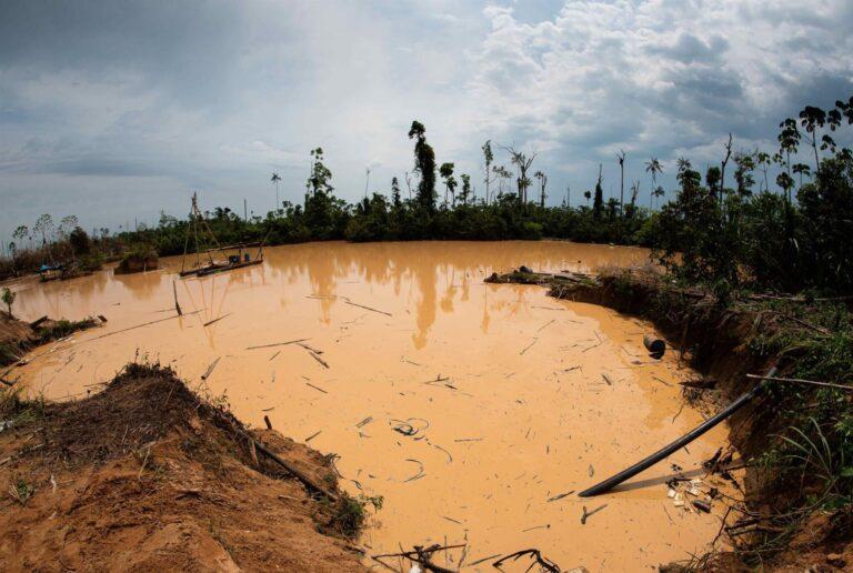 científicos advierten niveles críticos de mercurio en la amazonía peruana