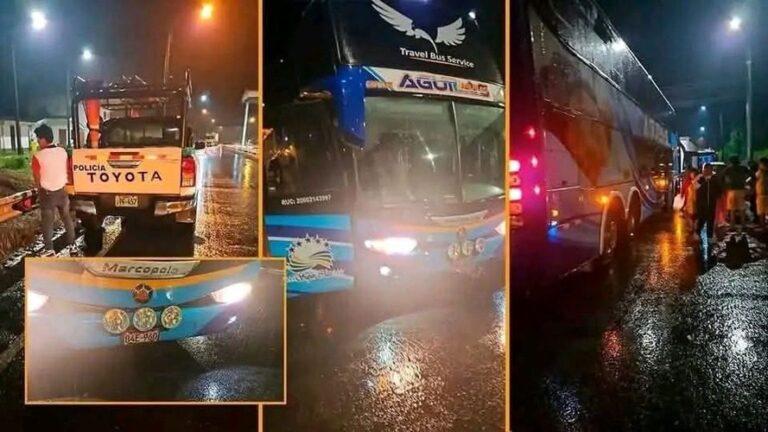 asalto a bus en ruta puerto maldonado juliaca: delincuentes buscaban oro