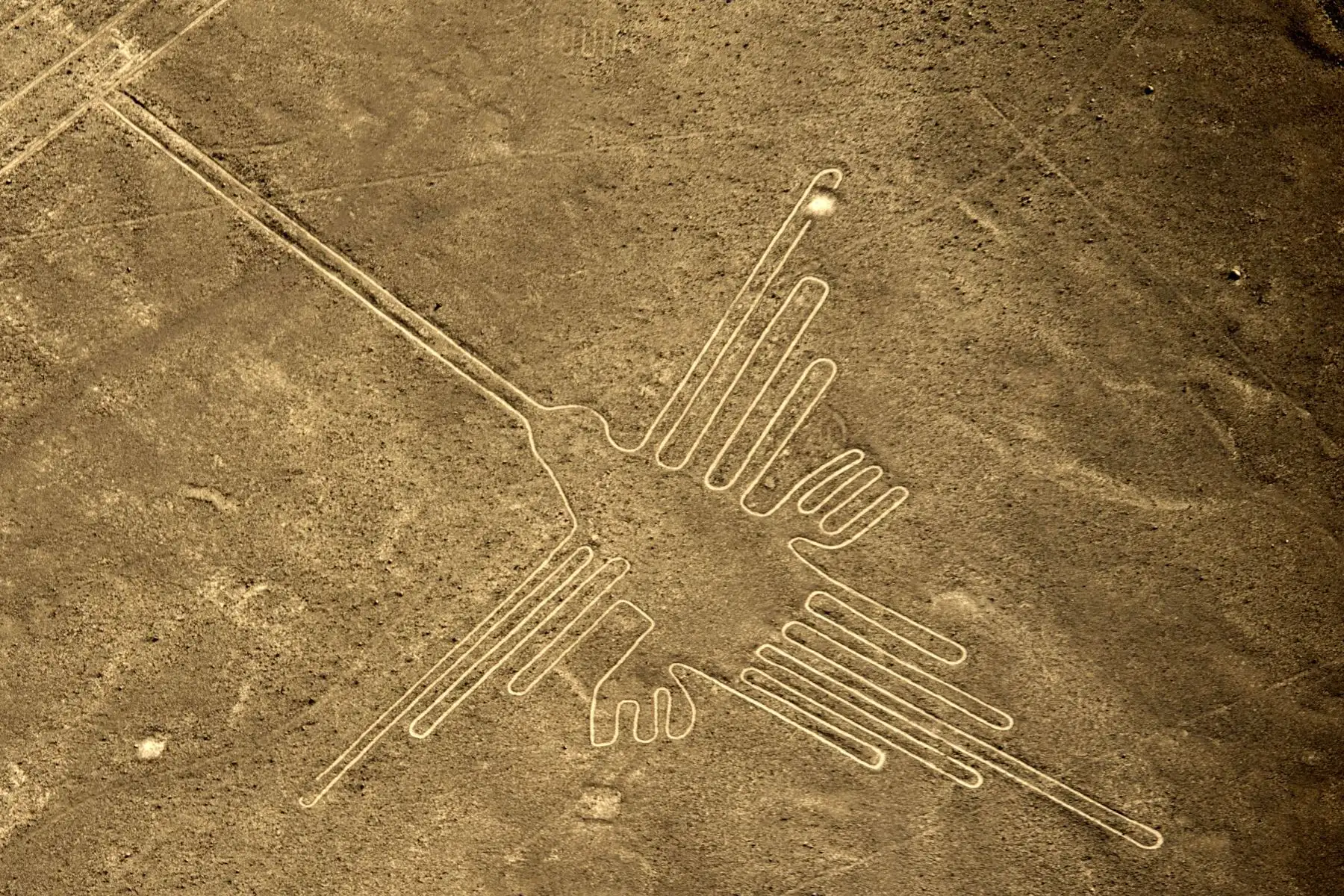 reducen protecciÓn de lÍneas de nazca