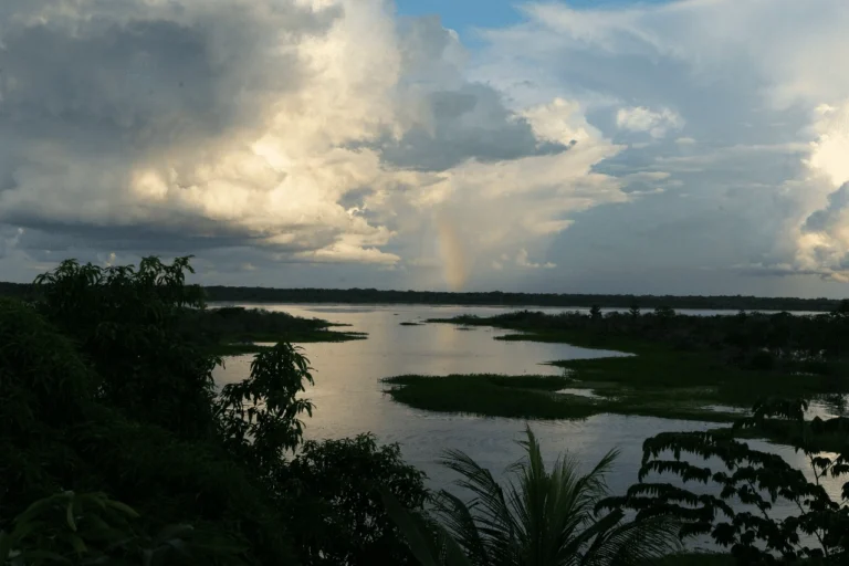 abren fondo de $1,5 millones para proyectos que impulsen la conservación en la amazonía