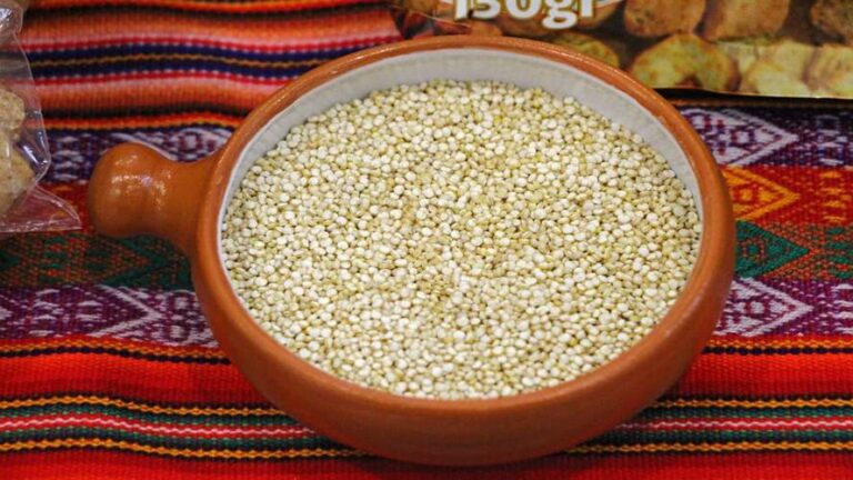 puno: producción de quinua cae más del 50% por efectos del cambio climático