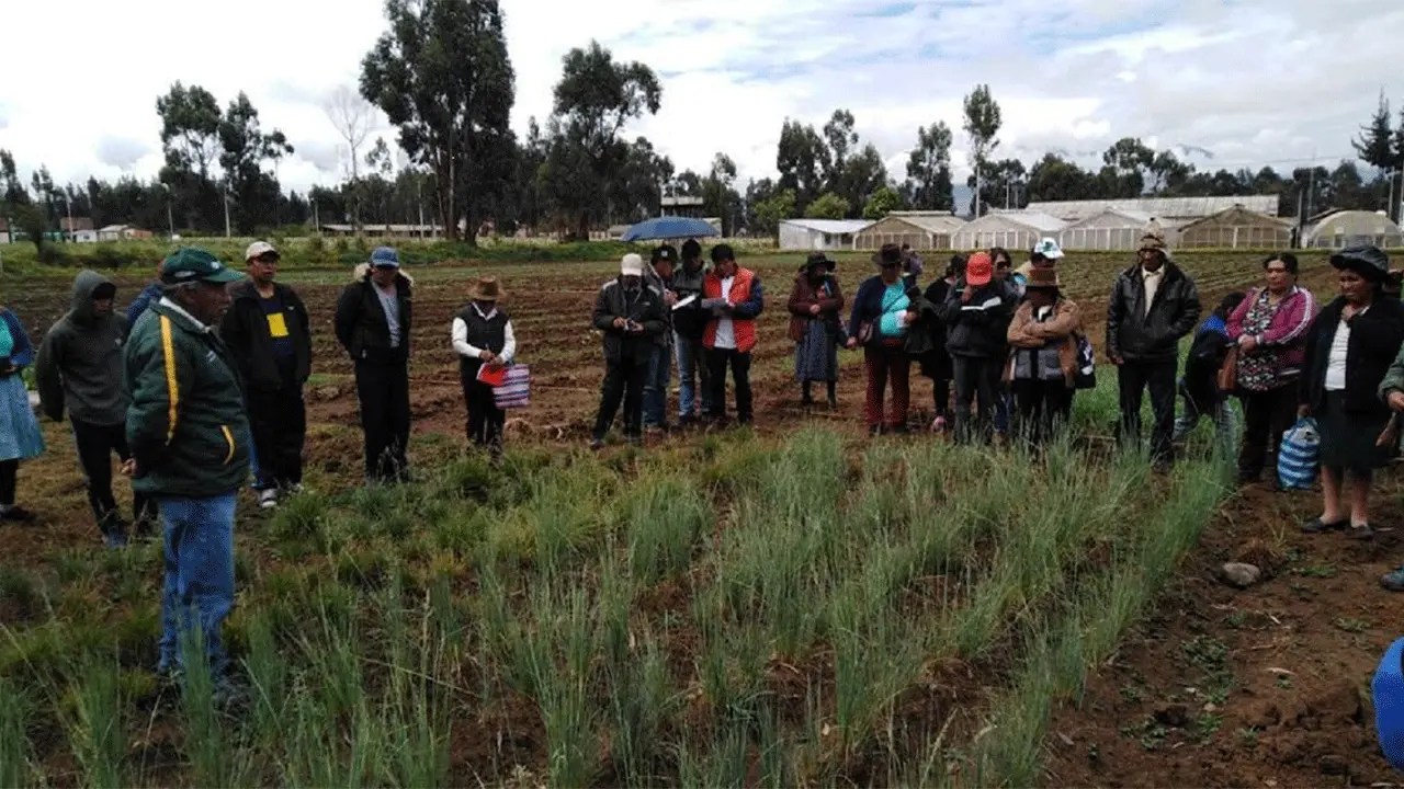 falta de planificación urbana pone en riesgo el desarrollo de ayacucho