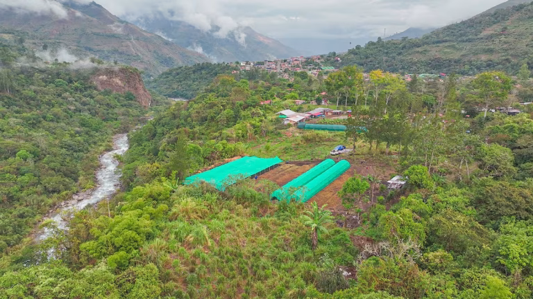 la convención: recuperarán más de tres mil hectáreas de ecosistemas degradados