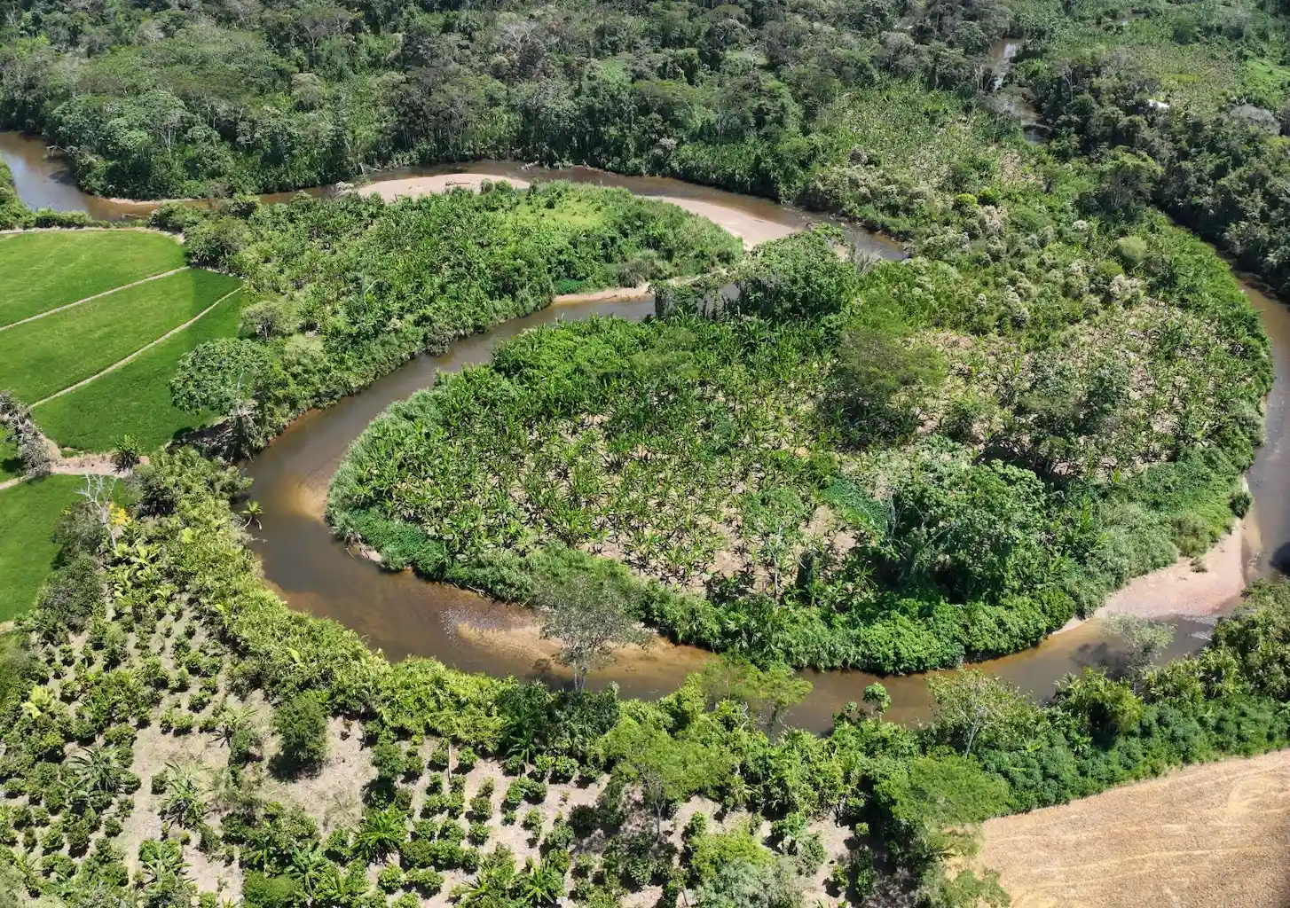 Huánuco: Intervienen campamento ilegal que devastaba humedales protegidos