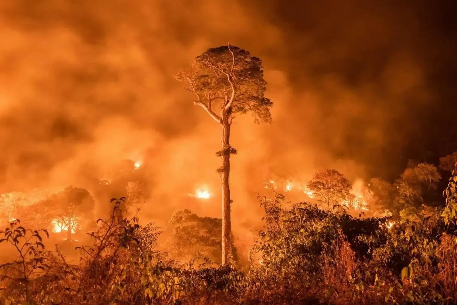 perú ante una nueva temporada de incendios forestales: cambio climático y falta de prevención aumentan riesgos