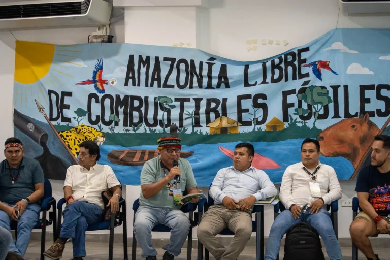 organizaciones indígenas y civiles exigen a la otca declarar la amazonía libre de combustibles fósiles