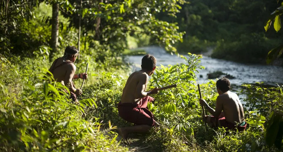 defender la amazonía cuesta la vida: 146 asesinatos y desapariciones de defensores ambientales en 2024