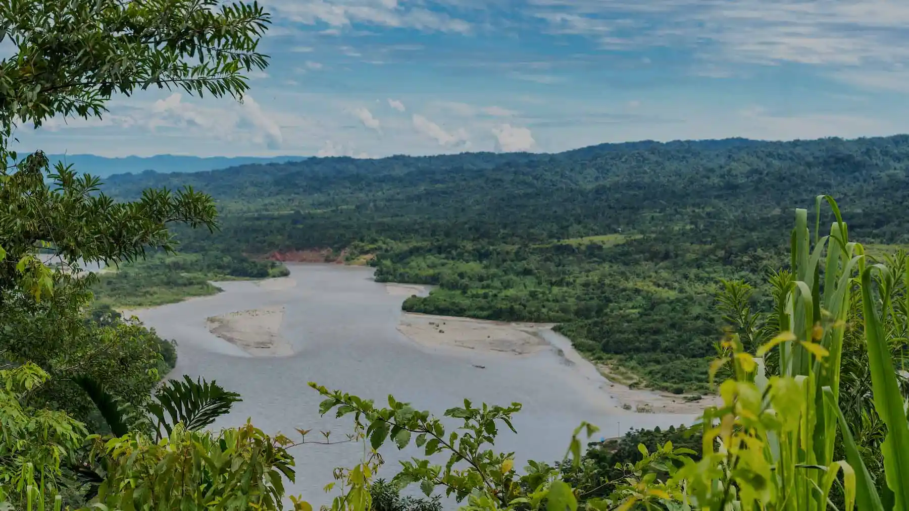 deforestación en brasil pone en riesgo el ciclo del agua y la estabilidad de los ecosistemas en perú y bolivia