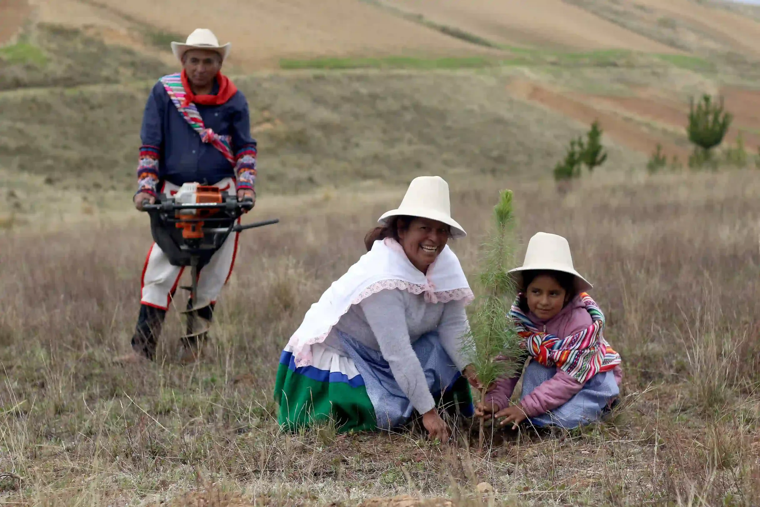 Más de 6000 familias recibirán apoyo para planes de negocio forestal en seis regiones