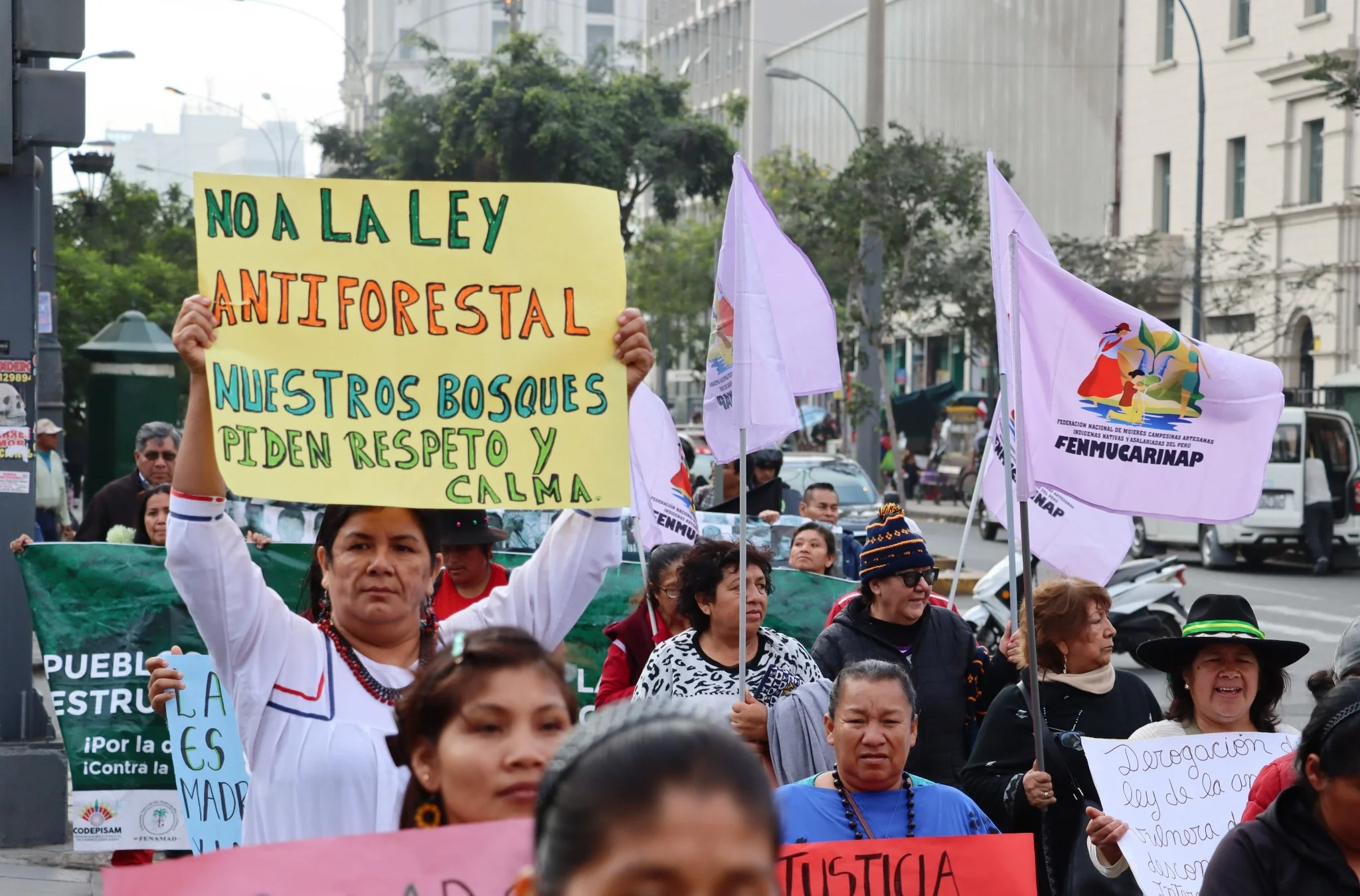 Rechazan proyecto de ley que permitiría titular tierras deforestadas en la Amazonía sin estudios ambientales