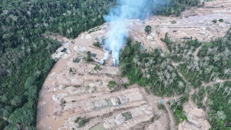 destruyen maquinaria pesada y dragas usadas para minería ilegal en el Área de conservación privada panguana