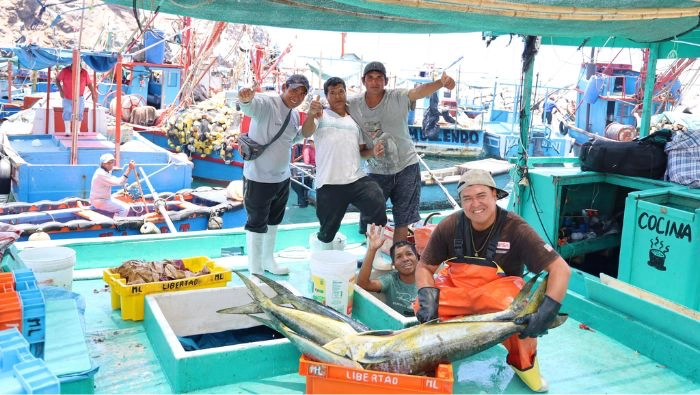 Otorgan créditos de hasta S/117 700 con tasa preferencial del 1% para pescadores artesanales de pota y perico