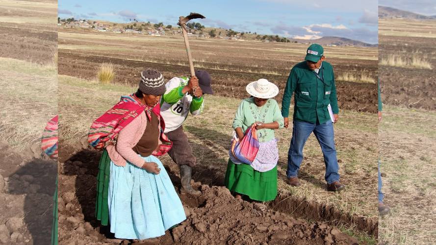 puno: pbi regional cayó 1.4% en el segundo trimestre, el sexto peor resultado del país