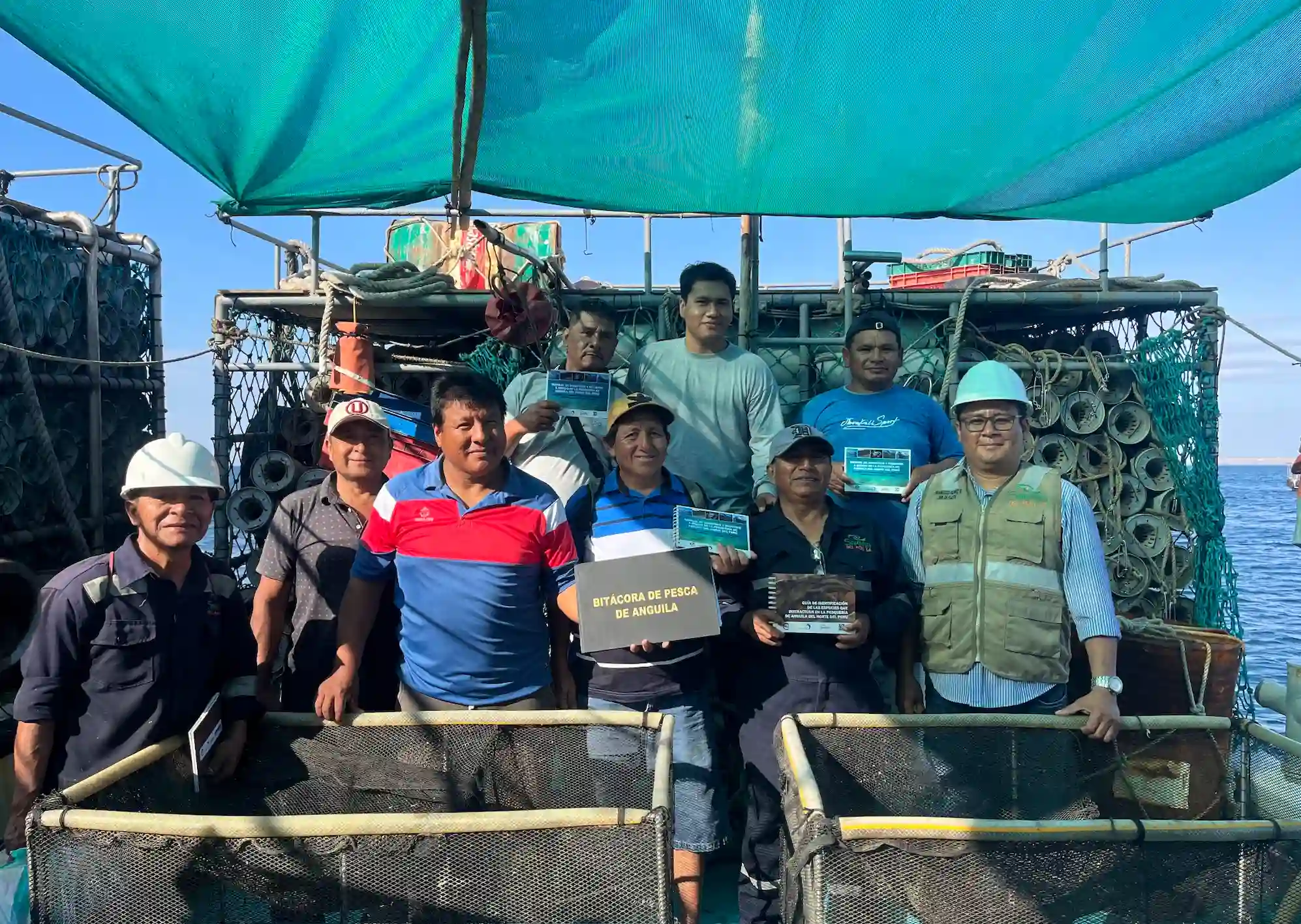 pesquería de anguila peruana busca certificación msc, la más exigente en sostenibilidad pesquera