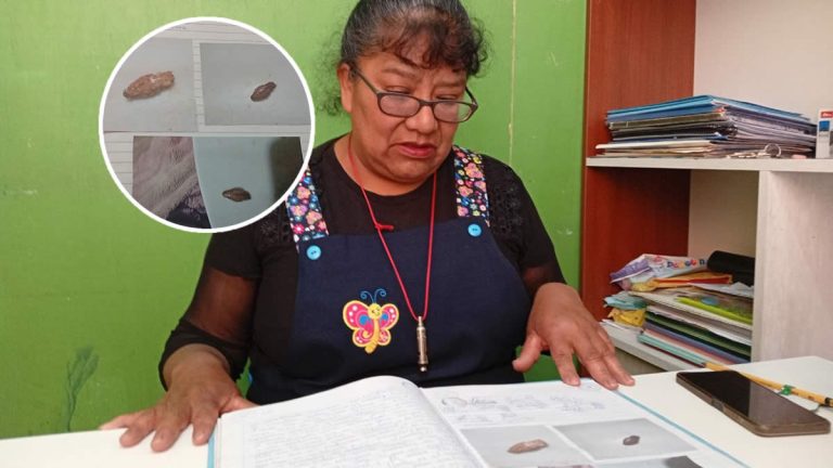 juliaca: exigen investigación fiscal tras hallar insecto en conserva de wasi mikuna