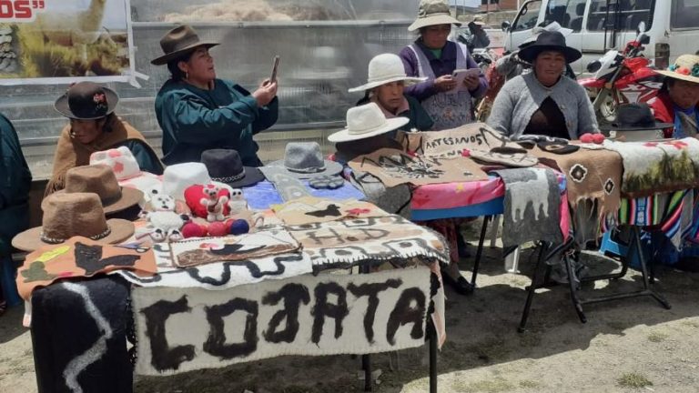 mujeres artesanas de cojata elaboran sombreros de fibra de alpaca para el mercado internacional