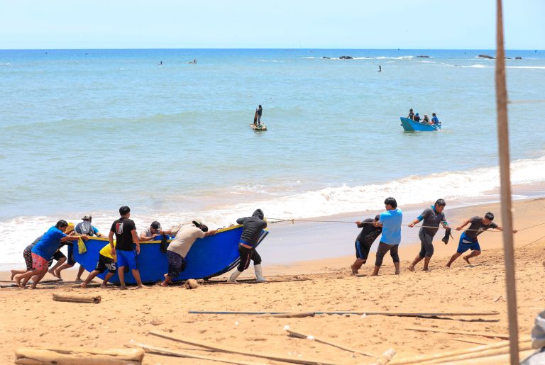 piura: pescadores de la tortuga exigen formalización y denuncian cobros de hasta s/ 1,000 por permisos