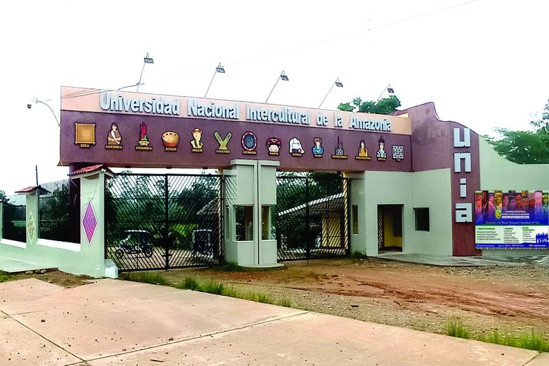 sunedu separa al rector de universidad intercultural de ucayali