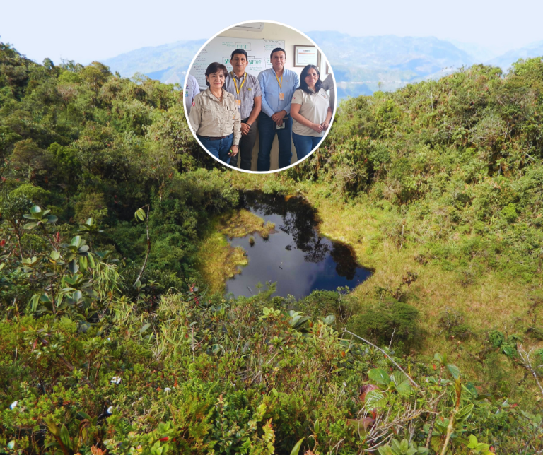 jaén: alistan prepublicación de la creación del Área de conservación regional “bosques de huamantanga y chorro blanco”
