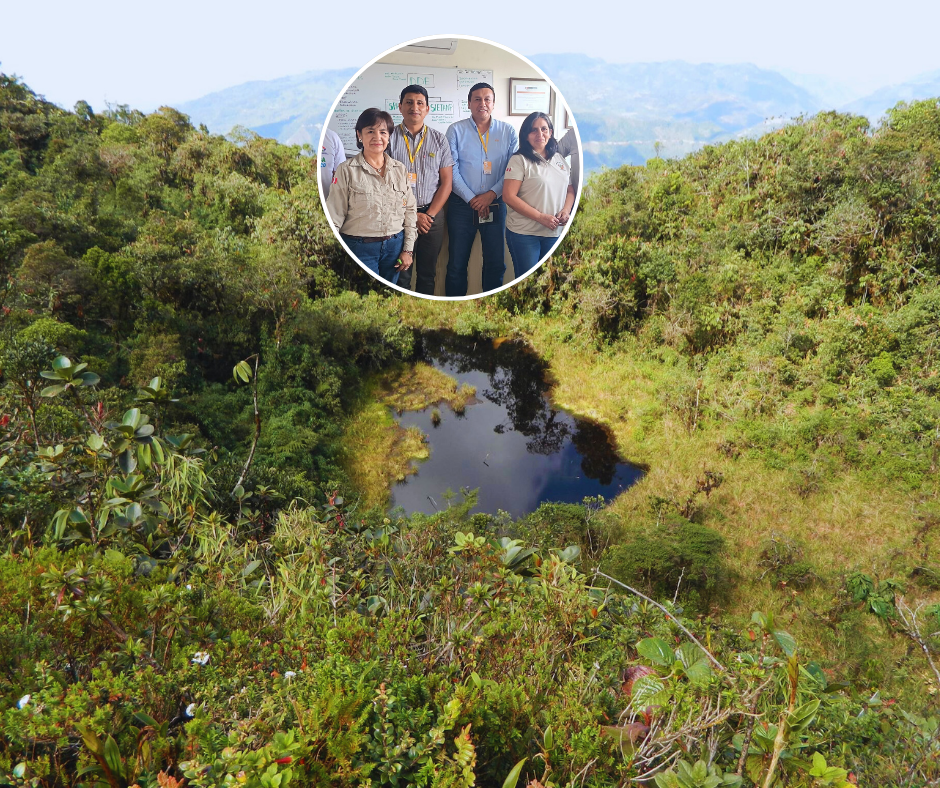 jaén: alistan prepublicación de la creación del Área de conservación regional “bosques de huamantanga y chorro blanco”