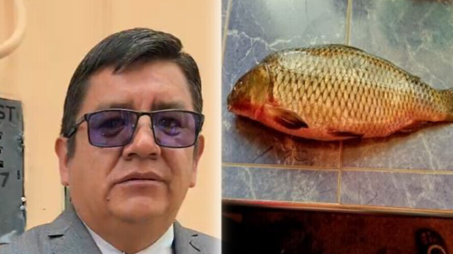 Lago Titicaca: Mediante ordenanza regional prohibirán la crianza del pez carpa