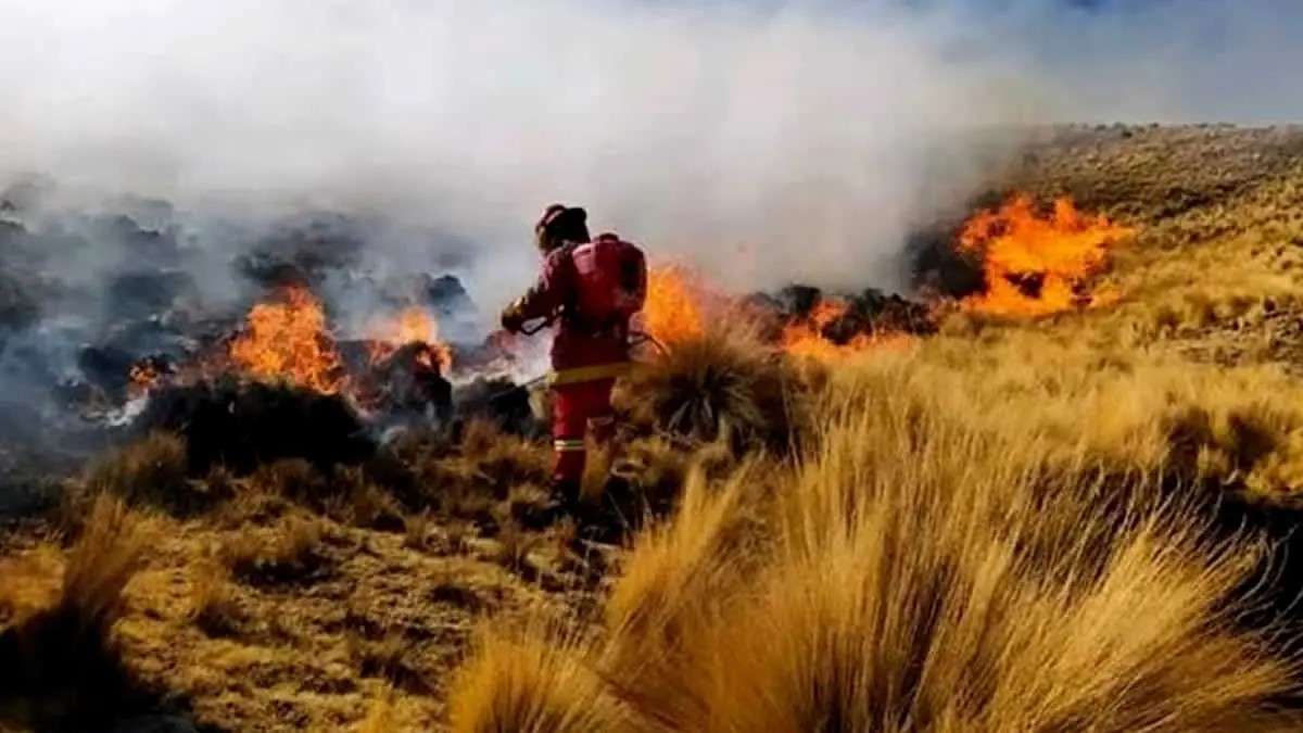 Puno refuerza alerta por riesgo de incendios forestales este 10 de diciembre
