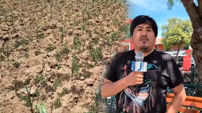 Especialista advierte que falta de reforestación pone en riesgo a Ayacucho frente a futuras sequías