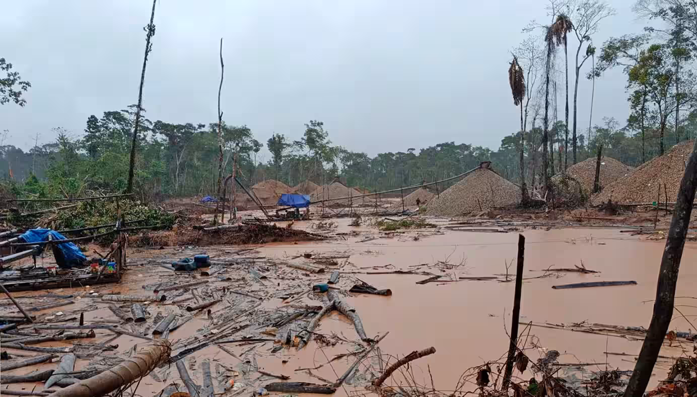 2025: delitos ambientales como minería ilegal y tráfico de animales dejaron 812 sentencias