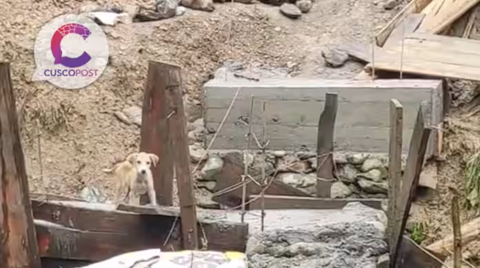 Derrumbes, pérdidas agrícolas y deterioro vial en la selva de Cusco: Agricultores denuncian abandono estatal