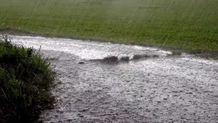 Lluvias moderadas en selva puneña activan alerta para Carabaya y Sandia