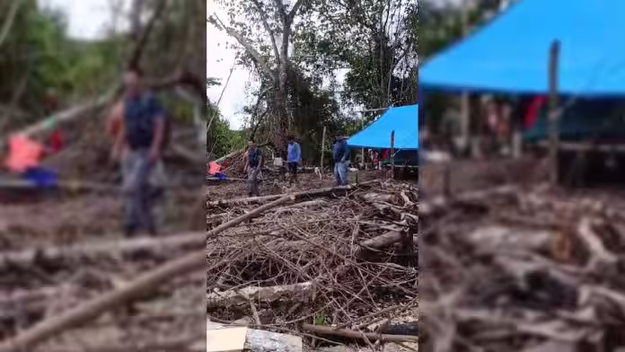 Puerto Inca: Agricultores alertan amenazas tras invasión de mineros ilegales en sus tierras