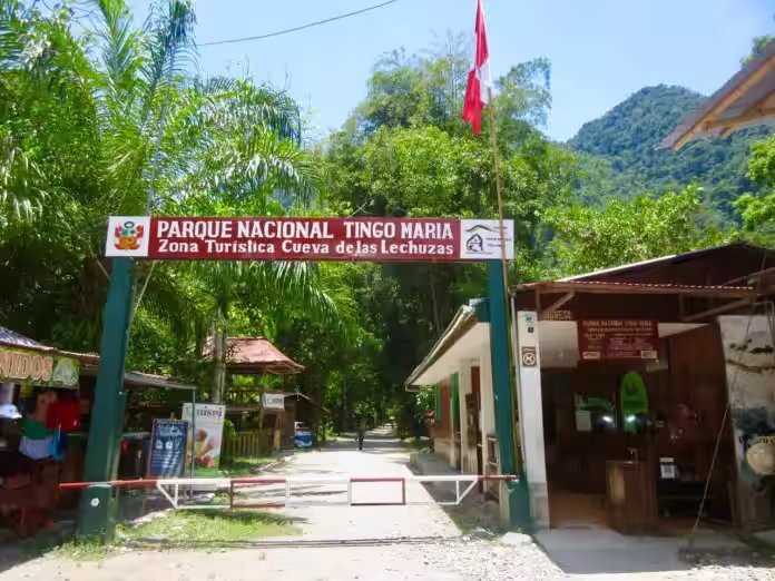 Parque Nacional Tingo María superó su meta anual de visitas y mantuvo 95 % de conservación en 2025