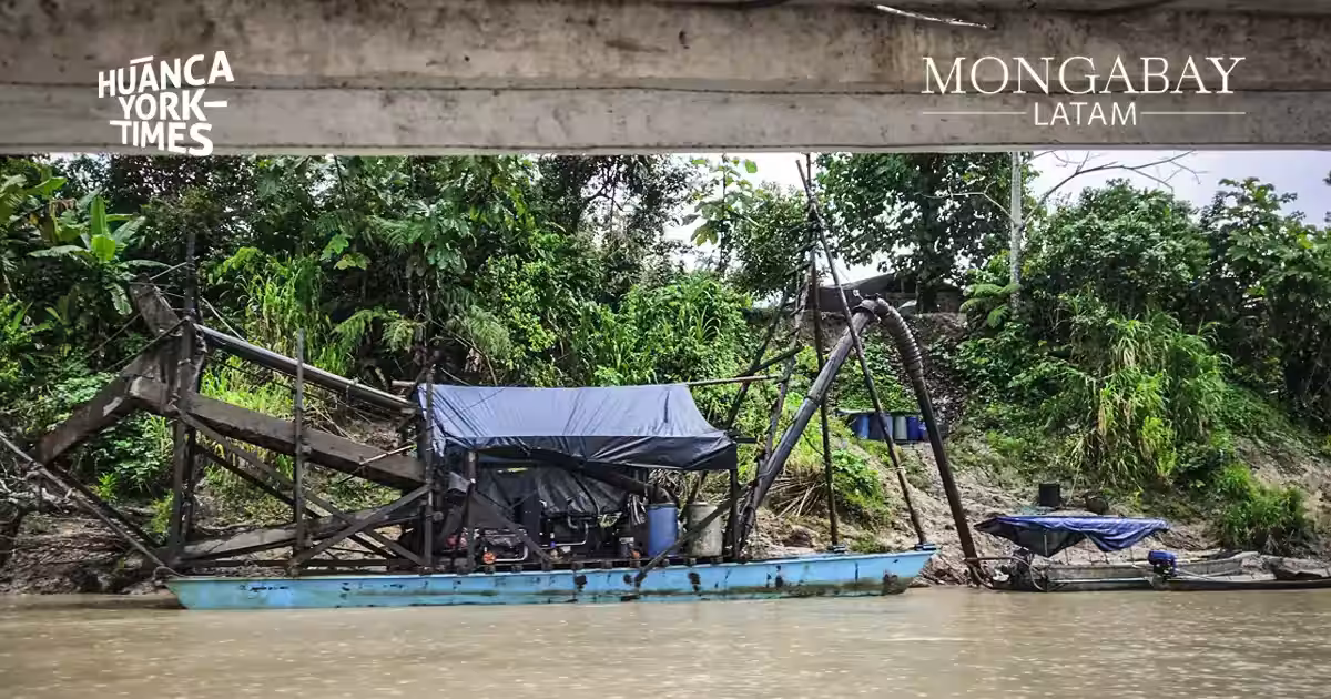 la imparable destrucción que dejan las mafias de oro y madera en las comunidades del río santiago