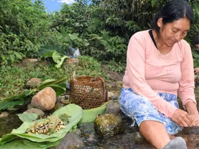 El cambio en la dieta indígena pone en riesgo la salud y la autonomía alimentaria