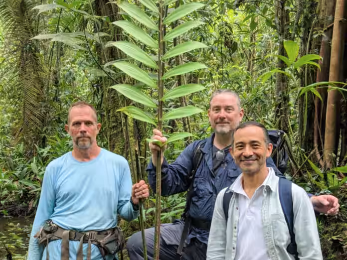 Loreto: Planta “fósil viviente” es capaz de crecer bajo el agua
