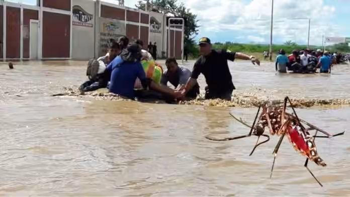 DIRESA alerta por aumento de casos de dengue en Piura