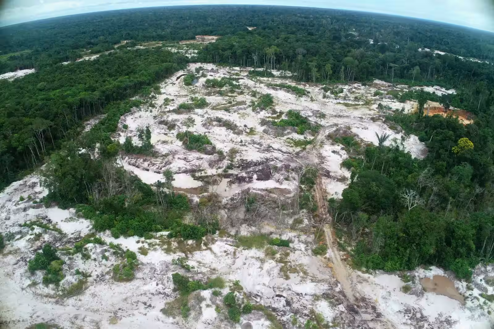 loreto: más de 8 mil hectáreas de varillales amazónicos están afectadas por minería no metálica