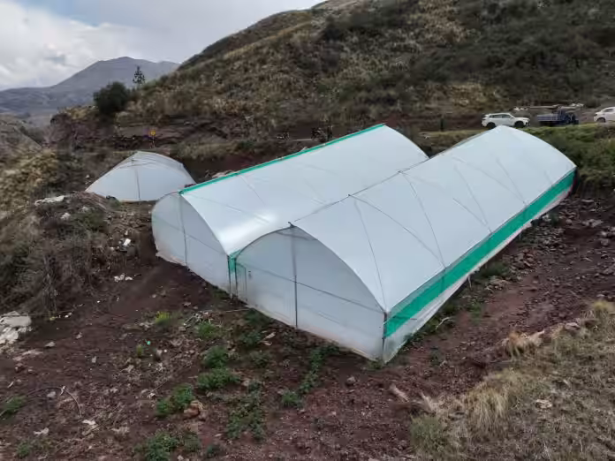 Ejecutan acciones para proteger la producción agropecuaria de Cusco ante eventos naturales