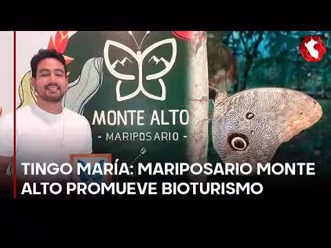 Mariposario Monte Alto impulsa bioturismo y conservación en Tingo María (VIDEO)