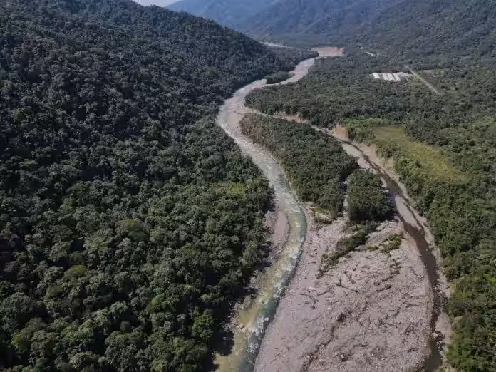 Cusco: Los bosques del Araza bajo asedio