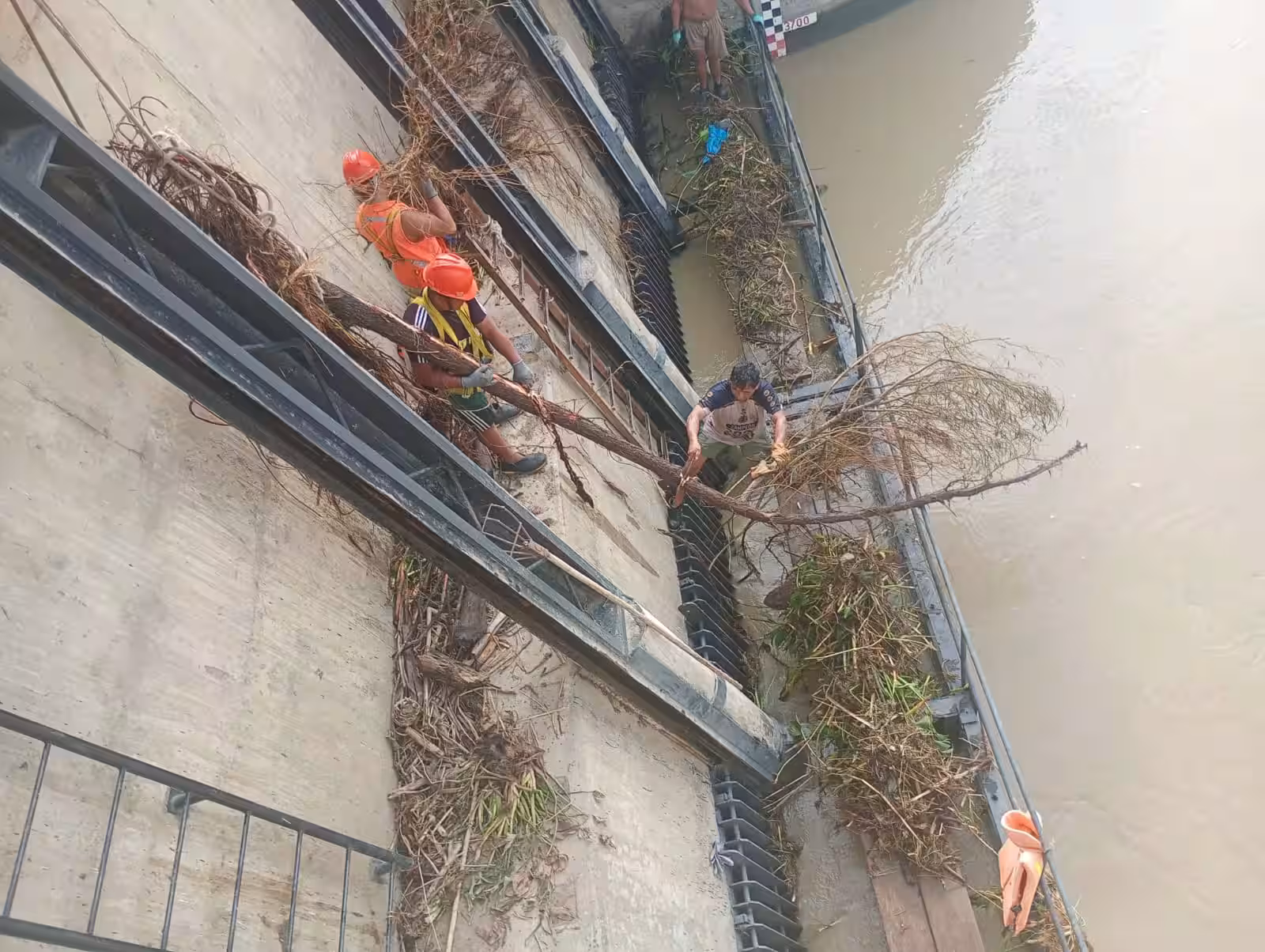 Paita: PTAP El Arenal reinició operaciones tras limpieza de rejillas de canal Norte