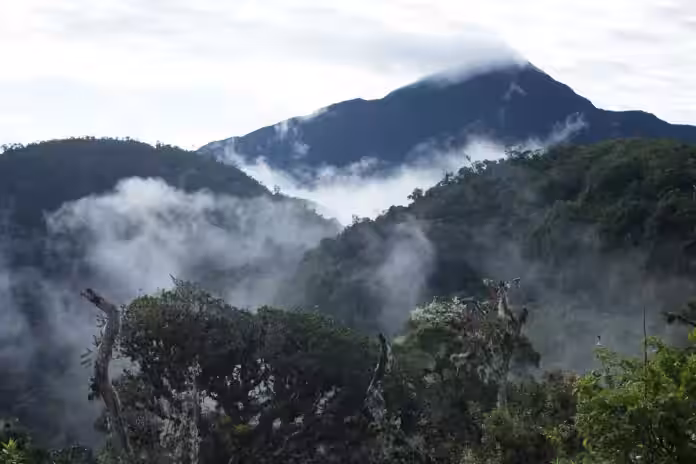 Expertos advierten que lineamientos del Serfor podrían dejar sin protección gran parte de ecosistemas frágiles del país