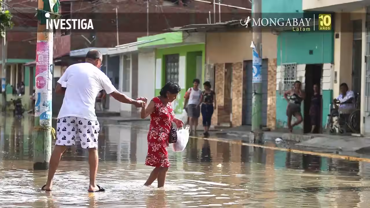 Entre la incertidumbre y el riesgo: Latinoamérica debe prepararse para la posible llegada de El Niño en 2026